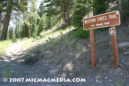 Nugget-#115-D-Western-State