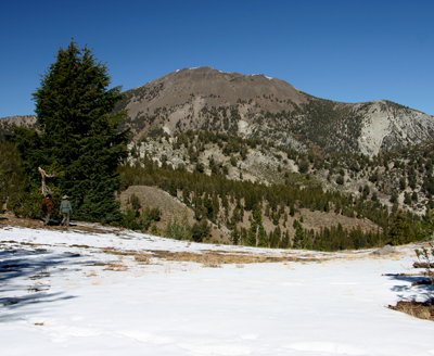 Nugget #122 B Mt Rose Hike