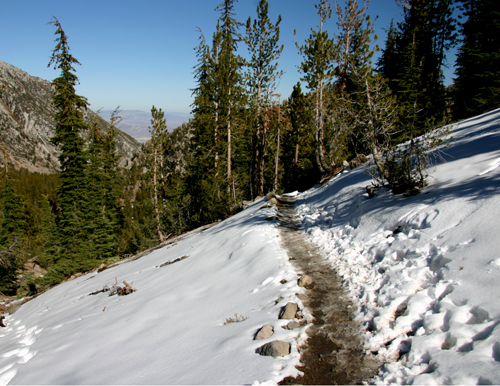 Nugget #122 C Mt Rose hike snowpath