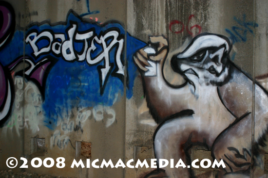 Nugget #144 C Bad Jer Grafitti
