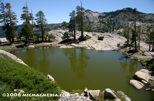 Nugget #146 Chinese Catfish Pond