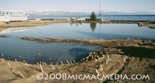 Nugget #150 F 1997 C Bay wetland restoration project