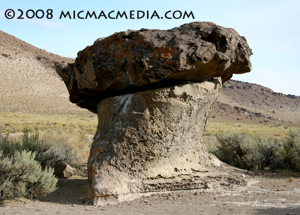 Nugget #152 G Volcanic Mushroom