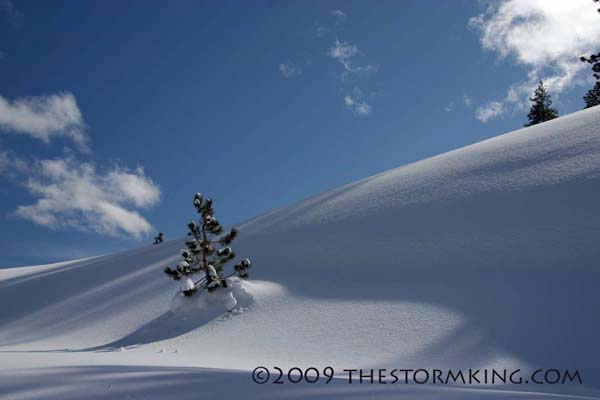 Nugget #167 F Landscape covered in Powder