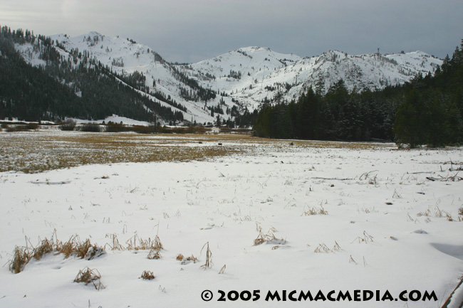 Nugget #32 Squaw Valley snowpack ID and resized