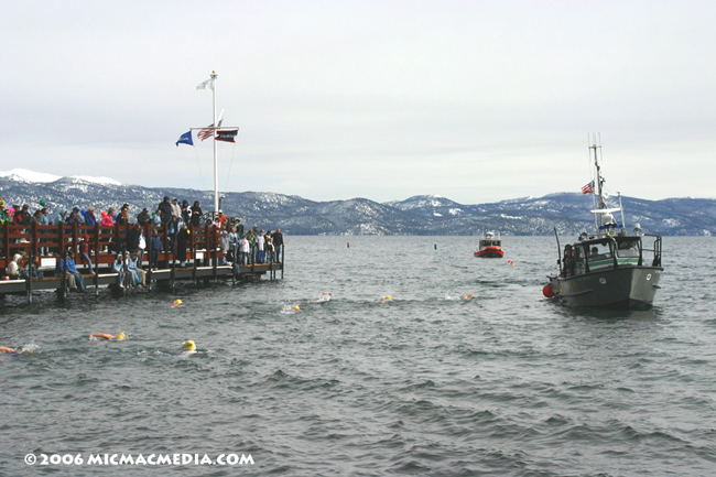 Nugget #54 B Polar swim women ID 600