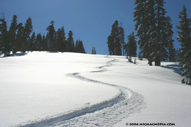 Nugget #56 A Powder tracks Homewood 3-0604