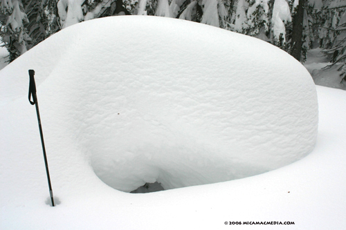 Nugget #61 A Tree buried in snow