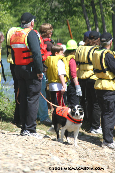 Nugget #73 D Rescue crew dog