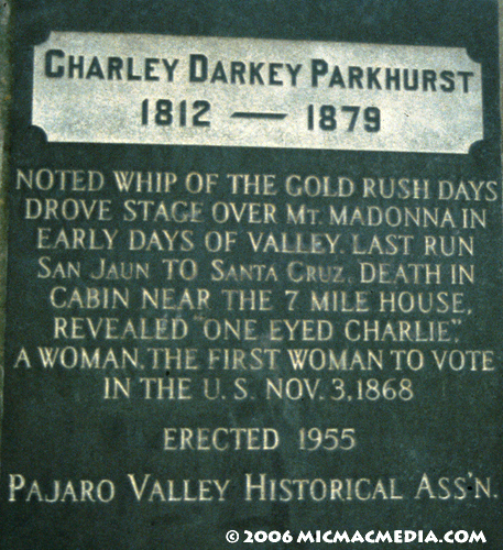 Nugget #76 C Parkhurst gravestone sized