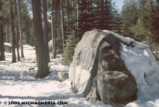 Nugget #83 A Murphy Rock Donner Park